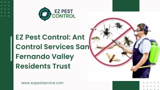 Get Rid of Ants Fast with Ant Control Services San Fernando Valley