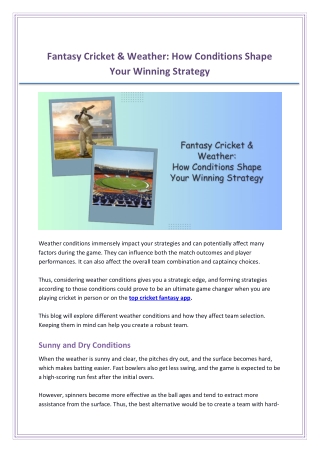 Fantasy Cricket & Weather How Conditions Shape Your Winning Strategy