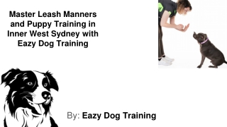 Leash Manners Class Inner West Sydney
