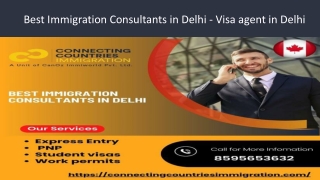 Best Immigration Consultants in Delhi - Visa agent in Delhi