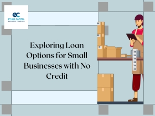Exploring Loan Options for Small Businesses with No Credit