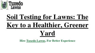 Soil Testing for Lawns