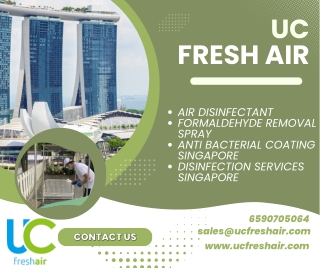 Effective Air Disinfectants & Formaldehyde Removal Spray in Singapore