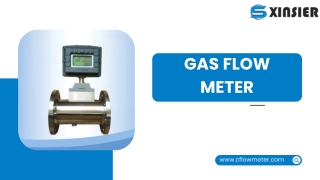 gas flow meter (1)