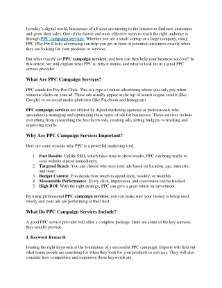 PPC campaign services