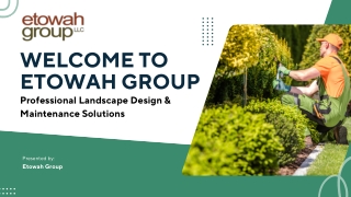 Professional Landscape Design & Maintenance Solutions