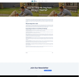 How Do I Stop My Dog from Biting or Nipping?