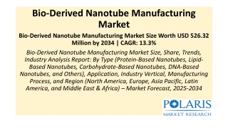 Bio-Derived Nanotube Manufacturing Market