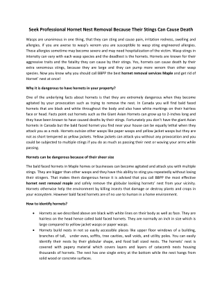 Seek Professional Hornet Nest Removal Because Their Stings Can Cause Death