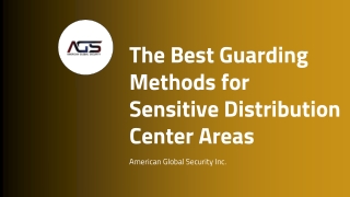 The Best Guarding Methods for Sensitive Distribution Center Areas