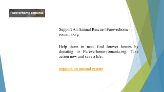 Support An Animal Rescue  Fureverhome-romania.org