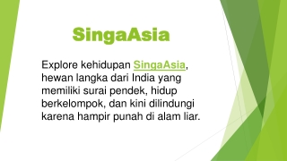 SingaAsia