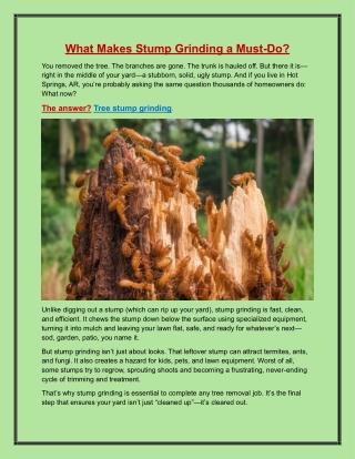 What Makes Stump Grinding a Must-Do?