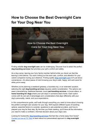 How to Choose the Best Overnight Care for Your Dog Near You