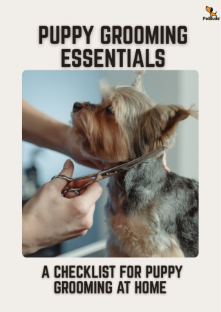 Puppy Grooming Essentials