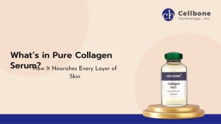 What’s in Pure Collagen Serum How It Nourishes Every Layer of Skin