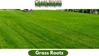 GRASS ROOTZ NATURAL TREATMENT PROGRAM