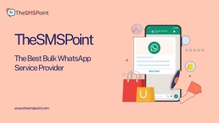 TheSMSPoint – The Best Bulk WhatsApp Service Provider
