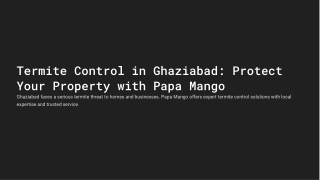 Effective Termite Control in Ghaziabad | PAPA MANGO Pest Solutions