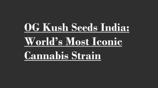 OG Kush Seeds India: World’s Most Iconic Cannabis Strain