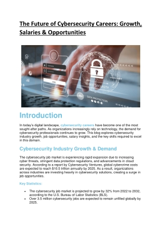 The Future of Cybersecurity Careers