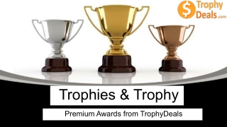 Trophies That Inspire: Celebrating Success with Custom Awards