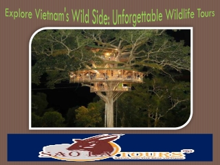 Explore Vietnam's Wild Side Unforgettable Wildlife Tours