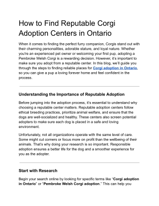 How to Find Reputable Corgi Adoption Centers in Ontario