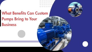 Maximize Efficiency with Expert Water Systems