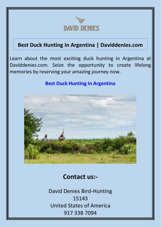 Best Duck Hunting In Argentina Daviddenies.com