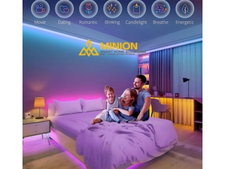 Garden Lighting in Chennai