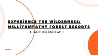 nelliyampathy forest resorts