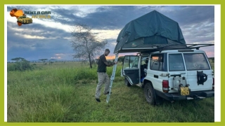 Mastering the Art of the Self-Drive Escape: Journeying from Kampala to the Wild