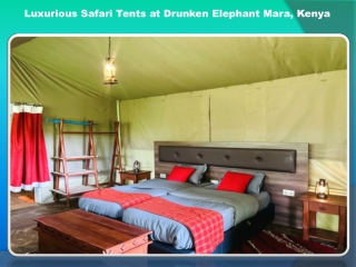 Luxurious Safari Tents at Drunken Elephant Mara, Kenya