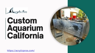 Custom Aquarium Experts in California | Acrylic Pros