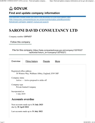5 - SARONI DAVID CONSULTANCY LTD overview - Find and update company information - GOV.UK