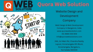 From Concept to Launch How a Professional Website Design and Development Company Brings Your Vision to Life