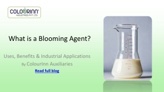 Blooming_Agent_ColourInn_Presentation