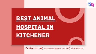 Kitchener's Best Animal Hospital: Complete Pet Care Clinic