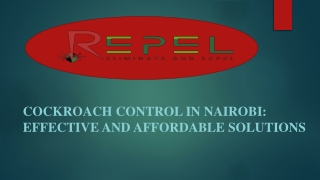 Cockroach Control in Nairobi: Effective and Affordable Solutions