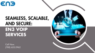 Seamless, Scalable, and Secure EN3 VoIP Services