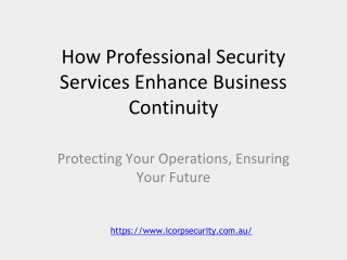 Professional Security Services