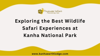 Exploring the Best Wildlife Safari Experiences at Kanha National Park