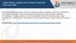 Global Iodine Market