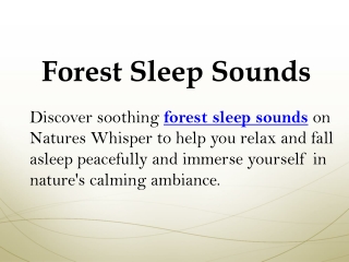 Forest Sleep Sounds