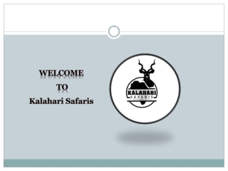 River Tours & Tiger Fishing | kalaharisafaris