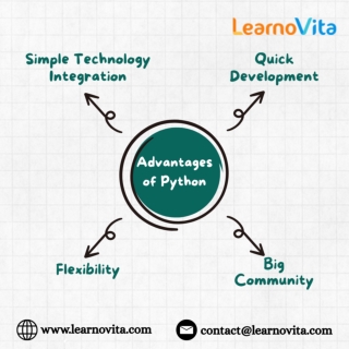 Python's Potential: Making Ideas Come to Life