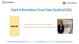 Informatica CDQ | Services, Assets, Functions, and Outputs Explained