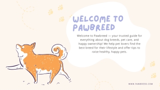 Pawbreed: Discover the Best Dog Breeds and Pet Care Tips