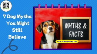 7 Dog Myths You Might Still Believe